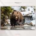 Brown Bear Wall Art Poster, Grizzly Bear Wildlife Print, Snowy Forest Nature Decor, Rustic Cabin Lodge Artwork, Wilderness Animal Wall Art Premium Poster Print - Pick Size