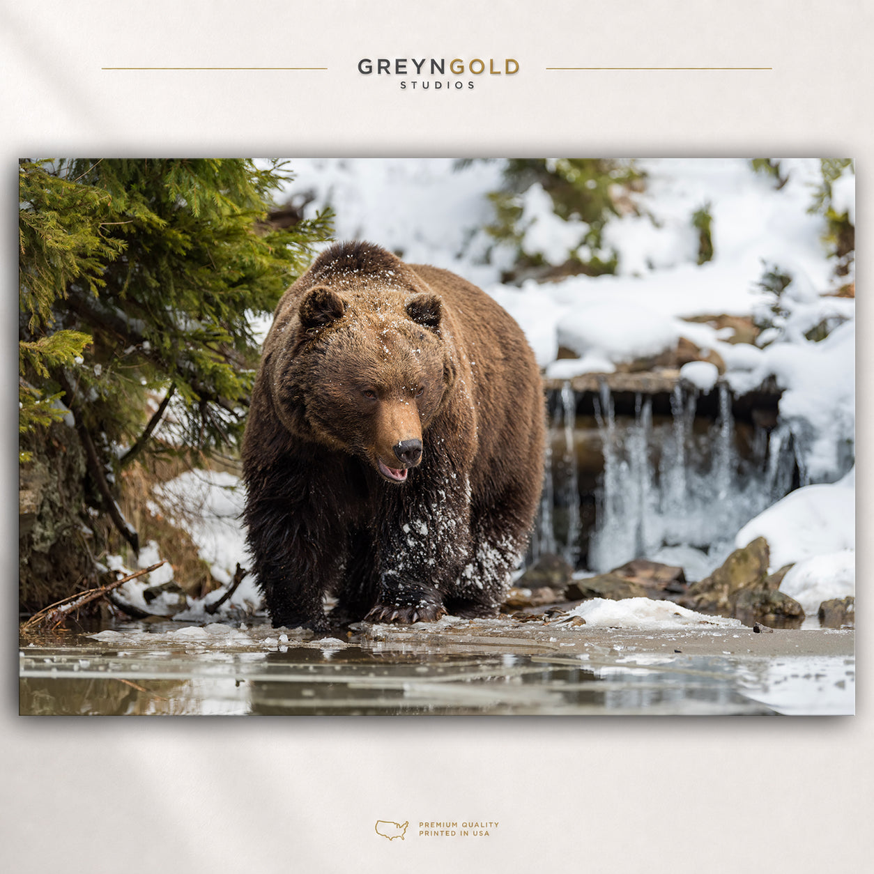 Brown Bear Wall Art Poster, Grizzly Bear Wildlife Print, Snowy Forest Nature Decor, Rustic Cabin Lodge Artwork, Wilderness Animal Wall Art Premium Poster Print - Pick Size
