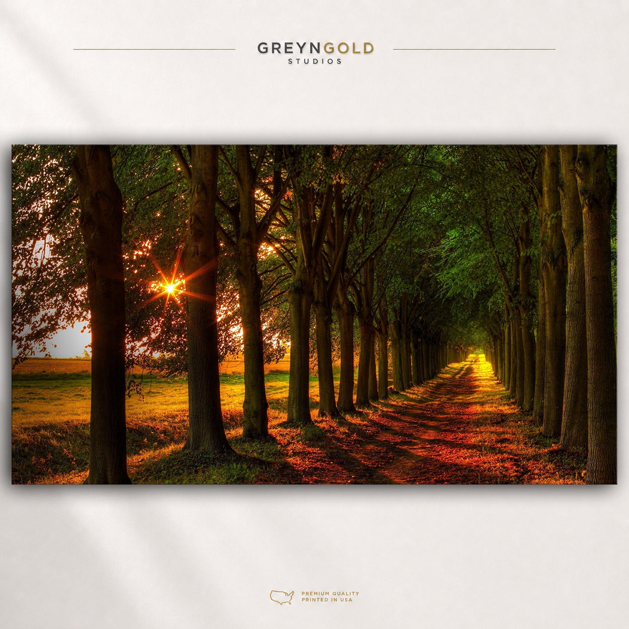 Golden Sunset Woodland Wall Art - Scenic Nature Poster, Green Forest Decor, Peaceful Nature Art, Living Room Bedroom Decor Premium Poster Print - Pick Size