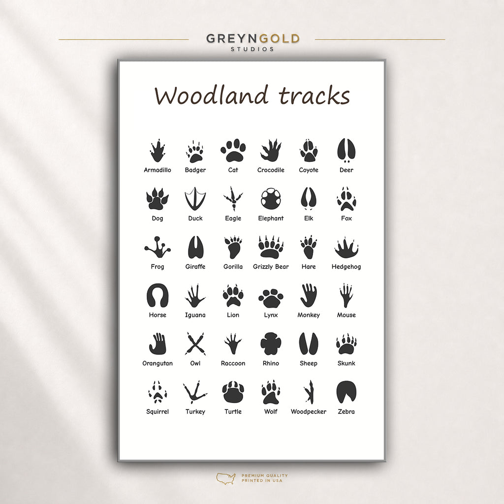 Animal Tracks & Footprints Educational Poster - Wildlife Paw Print Identification Chart, Nature Learning Classroom Wall Art, Kids Room Decor Premium Poster Print - Pick Size