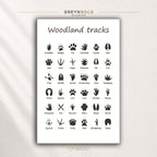 Animal Tracks & Footprints Educational Poster - Wildlife Paw Print Identification Chart, Nature Learning Classroom Wall Art, Kids Room Decor Premium Poster Print - Pick Size