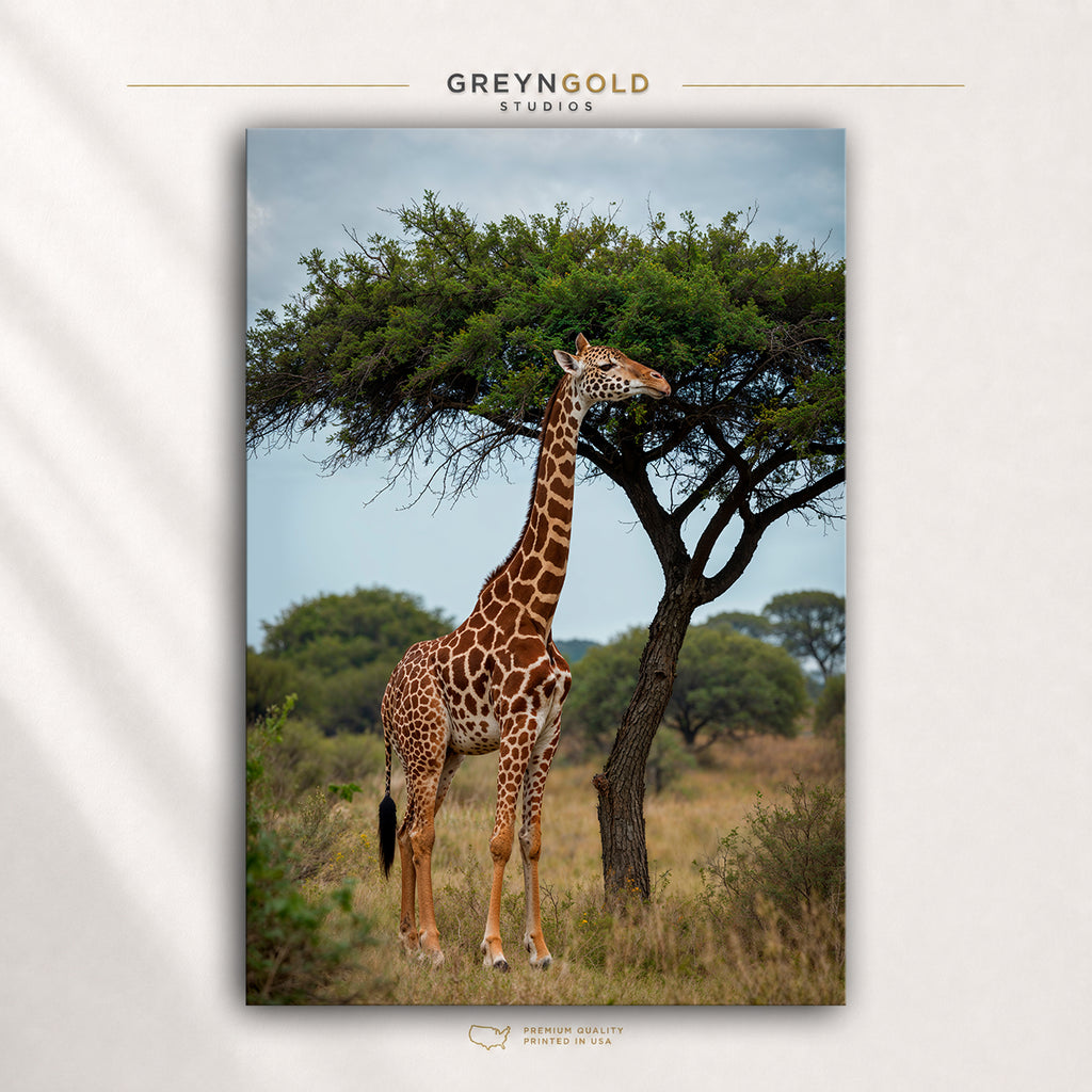 Giraffe Wall Art Poster - Wildlife Print, Safari Animal Decor, Wild Animal Nature Artwork, Living Room Office Bedroom Wall Art Premium Poster Print - Pick Size