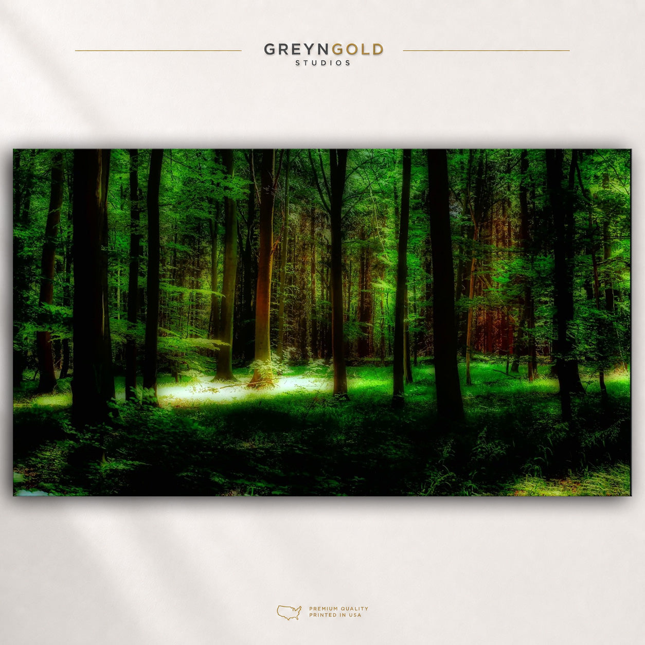 Green Forest Wall Art Poster - Sunlit Woodland Nature Print, Lush Forest Decor, Scenic Wilderness Poster, Peaceful Nature Wall Art, Living Room Bedroom Decor Premium Poster Print - Pick Size