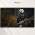 Wildlife Bald Eagle Wall Art Poster - Animal Nature Print, Forest & Safari Decor, Cabin Lodge Wall Decor, Nature Lover Gift, Bedroom Living Room Office Art Premium Poster Print - Pick Size