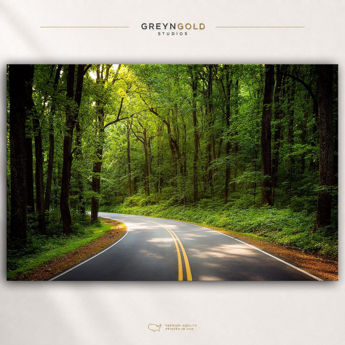 Misty Tree Tunnel Wall Art - Scenic Woodland Nature Poster, Green Forest Path Art, Peaceful Living Room Bedroom Decor Premium Poster Print - Pick Size