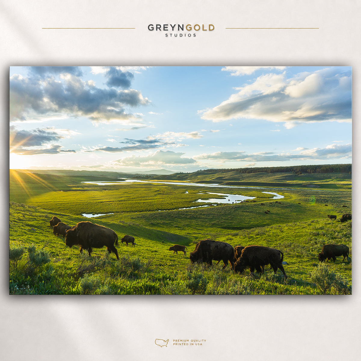 American Bison Wildlife Poster Wall Art - Buffalo Wild Animal Nature Print, Safari Forest Decor, Rustic Cabin Lodge Artwork, Animal Lover Gift, Living Room Bedroom Office Wall Decor Premium Poster Print - Pick Size