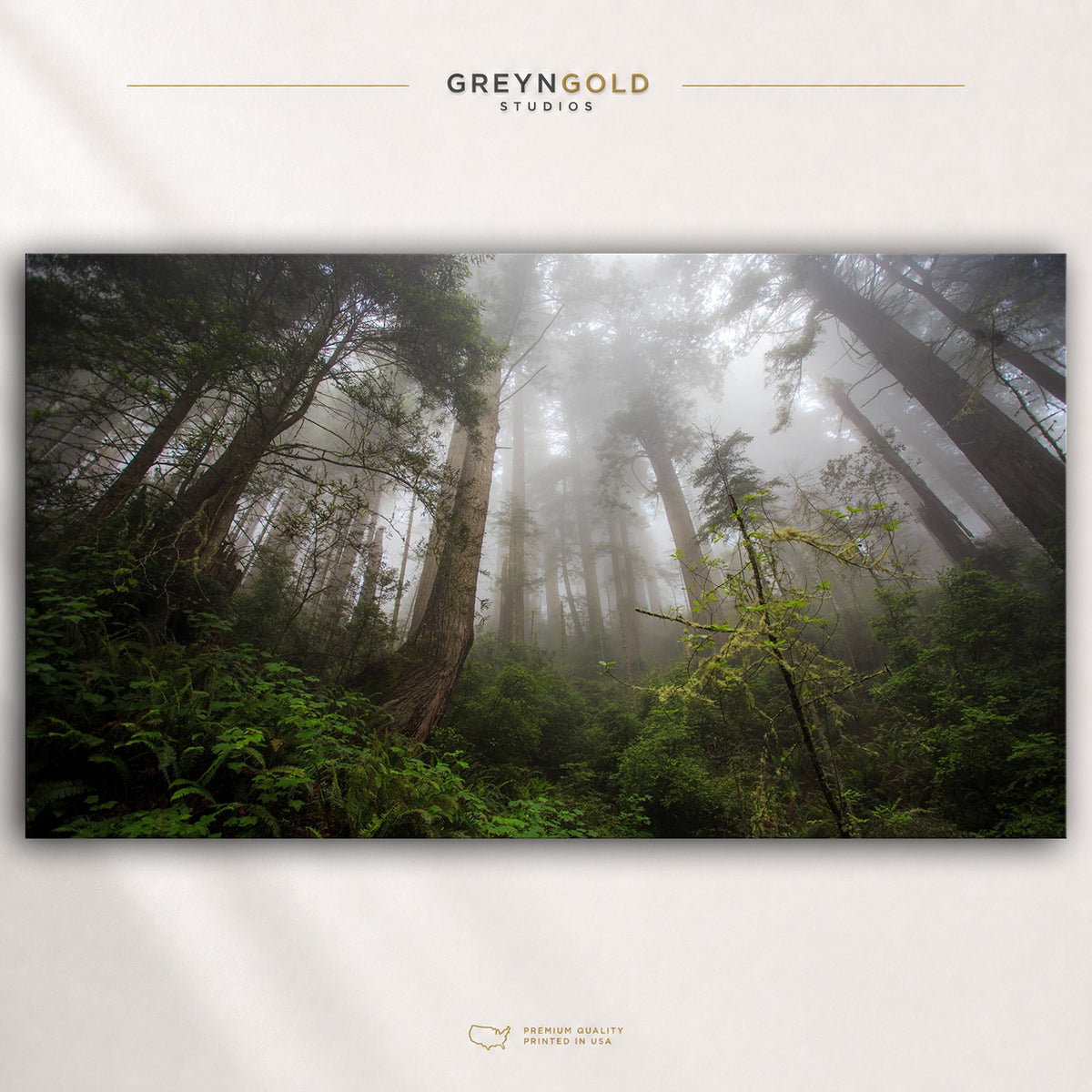 Misty Forest Poster - Foggy Woodland Wall Art, Green Nature Print, Mountain Forest Decor, Wilderness Wall Art, Cabin Bedroom Premium Poster Print - Pick Size