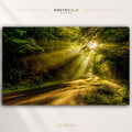 Sunlight Forest Road Wall Art Poster - Scenic Woodland Print, Golden Sun Rays Nature Poster, Peaceful Forest Path Decor, Green Nature Wall Art, Living Room Bedroom Decor Premium Poster Print - Pick Size