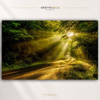 Sunlight Forest Road Wall Art Poster - Scenic Woodland Print, Golden Sun Rays Nature Poster, Peaceful Forest Path Decor, Green Nature Wall Art, Living Room Bedroom Decor Premium Poster Print - Pick Size