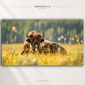 American Bison Wall Art - Animal Wildlife Nature Print, Forest & Safari Decor, Cabin Lodge Wall Decor, Nature Lover Gift, Bedroom Living Room Office Art Premium Poster Print - Pick Size