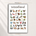 Woodland Animals Educational Poster for Kids – Forest Animal Names & Nature Learning Chart, Preschool Classroom Wall Art, Nursery Decor Premium Poster Print - Pick Size