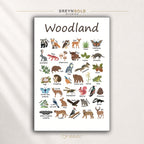 Woodland Animals Educational Poster for Kids – Forest Animal Names & Nature Learning Chart, Preschool Classroom Wall Art, Nursery Decor Premium Poster Print - Pick Size