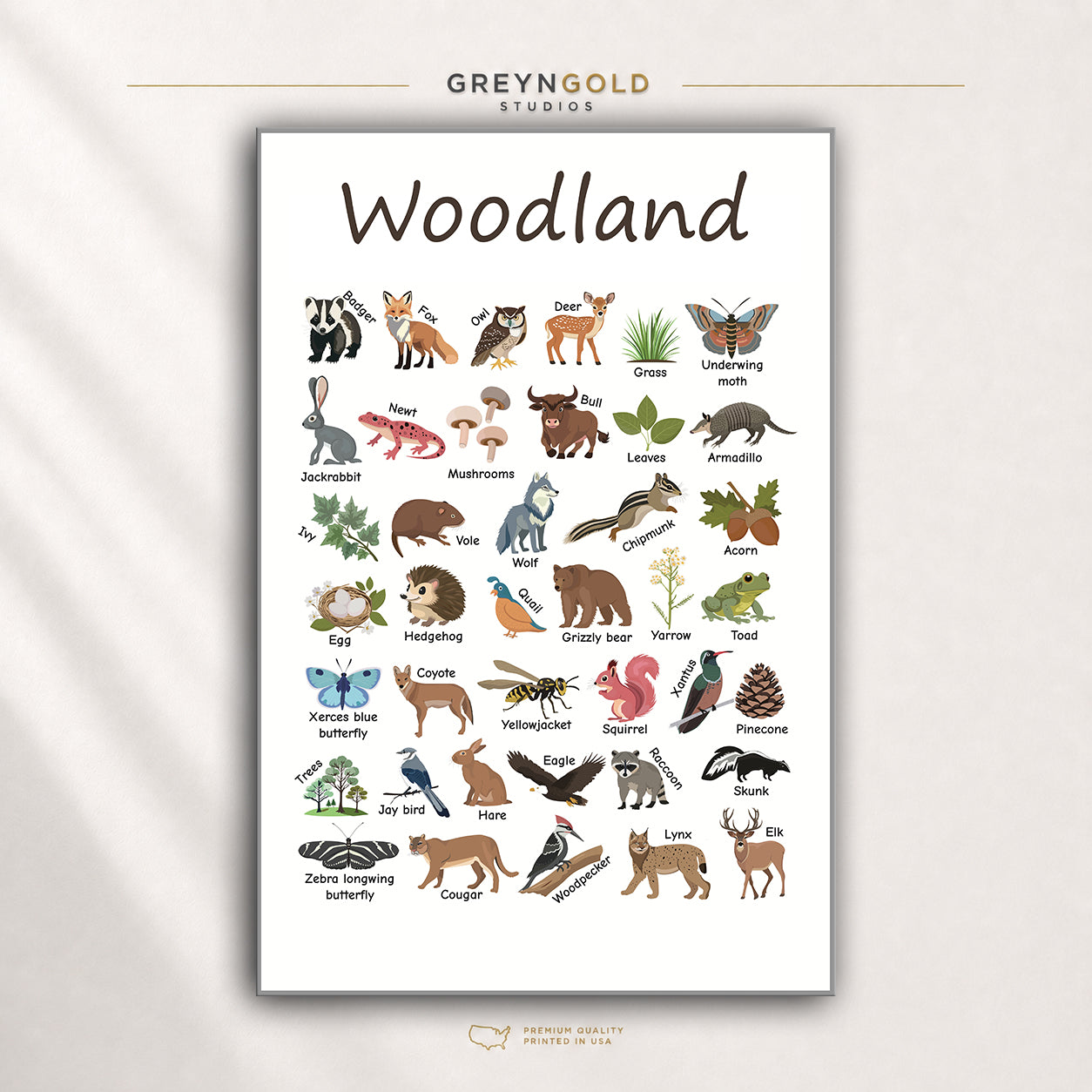 Woodland Animals Educational Poster for Kids – Forest Animal Names & Nature Learning Chart, Preschool Classroom Wall Art, Nursery Decor Premium Poster Print - Pick Size