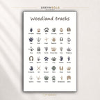 Woodland Animal Tracks Poster for Kids - Wildlife Footprints & Paw Prints Learning Chart, Preschool Nature Classroom Decor Premium Poster Print - Pick Size