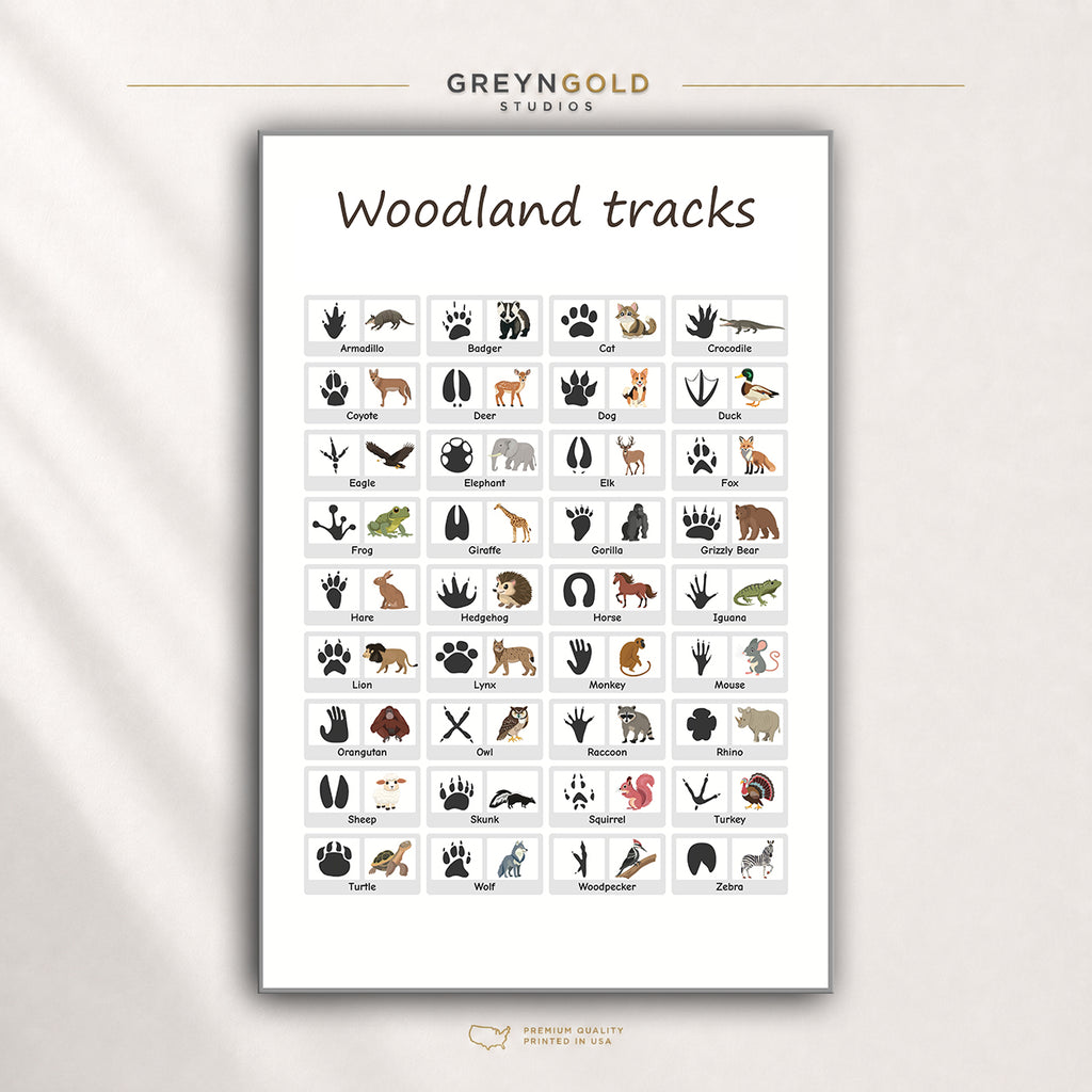 Animal Tracks & Footprints Educational Poster for Kids - Wildlife Paw Print Identification Chart, Nature Learning Classroom Wall Art Premium Poster Print - Pick Size