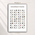 Animal Tracks & Footprints Educational Poster for Kids - Wildlife Paw Print Identification Chart, Nature Learning Classroom Wall Art Premium Poster Print - Pick Size