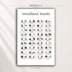 Animal Tracks & Footprints Educational Poster for Kids - Wildlife Paw Print Identification Chart, Nature Learning Classroom Wall Art Premium Poster Print - Pick Size