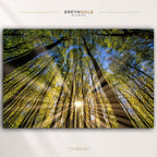 Golden Sun Rays Nature Wall Art - Green Woodland Poster, Scenic Forest Decor, Peaceful Nature Art Premium Poster Print - Pick Size