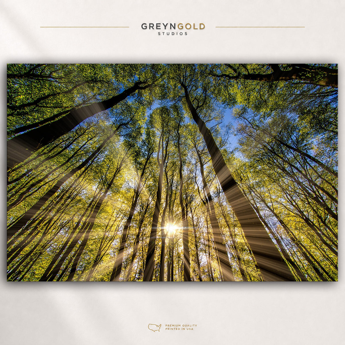 Golden Sun Rays Nature Wall Art - Green Woodland Poster, Scenic Forest Decor, Peaceful Nature Art Premium Poster Print - Pick Size